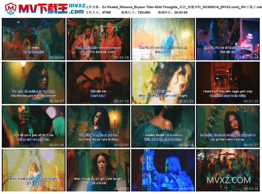 DJ Khaled_Rihanna_Bryson Tiller-Wild Thoughts_英语_情歌对唱_MC900214